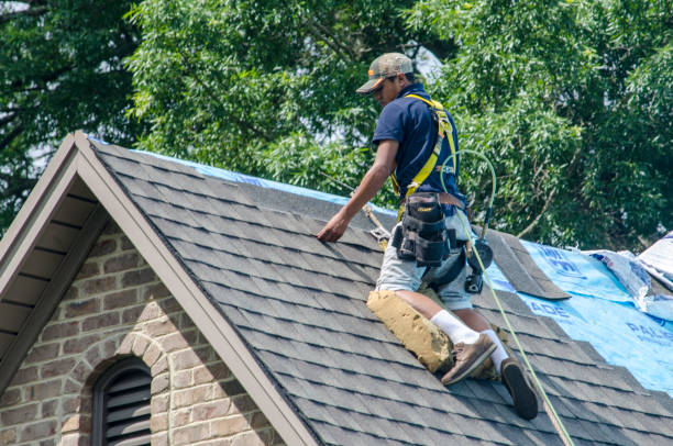 Quick and Trustworthy Emergency Roof Repair Services in Mulberry, FL